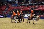 Quadrille - 00013